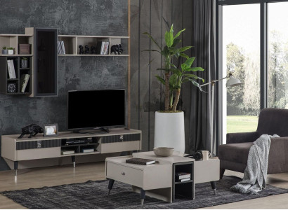 Wohnzimmer Set Designer RTV-Ständer Luxus Holz Regale Couchtisch 3tlg
