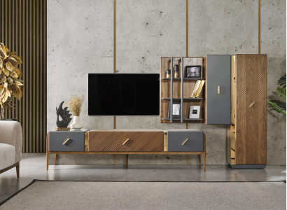 Wohnwand TV-Ständer Bücherregal Hangeschrank Schrank Moderne neu
