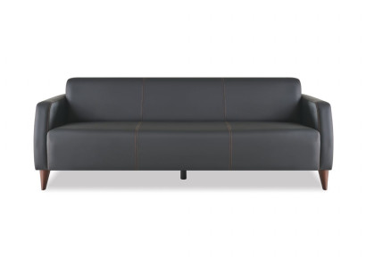 Ledersofa 3-Sitzer Sofa Schwarz Leder Holz Modern Vielseitig Weiche